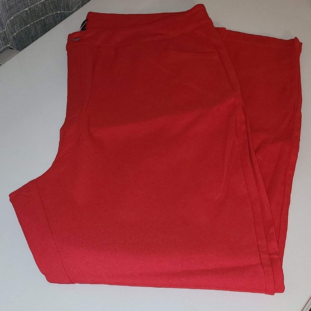 Size 4XL SHEIN Bold Red Curve Pants
